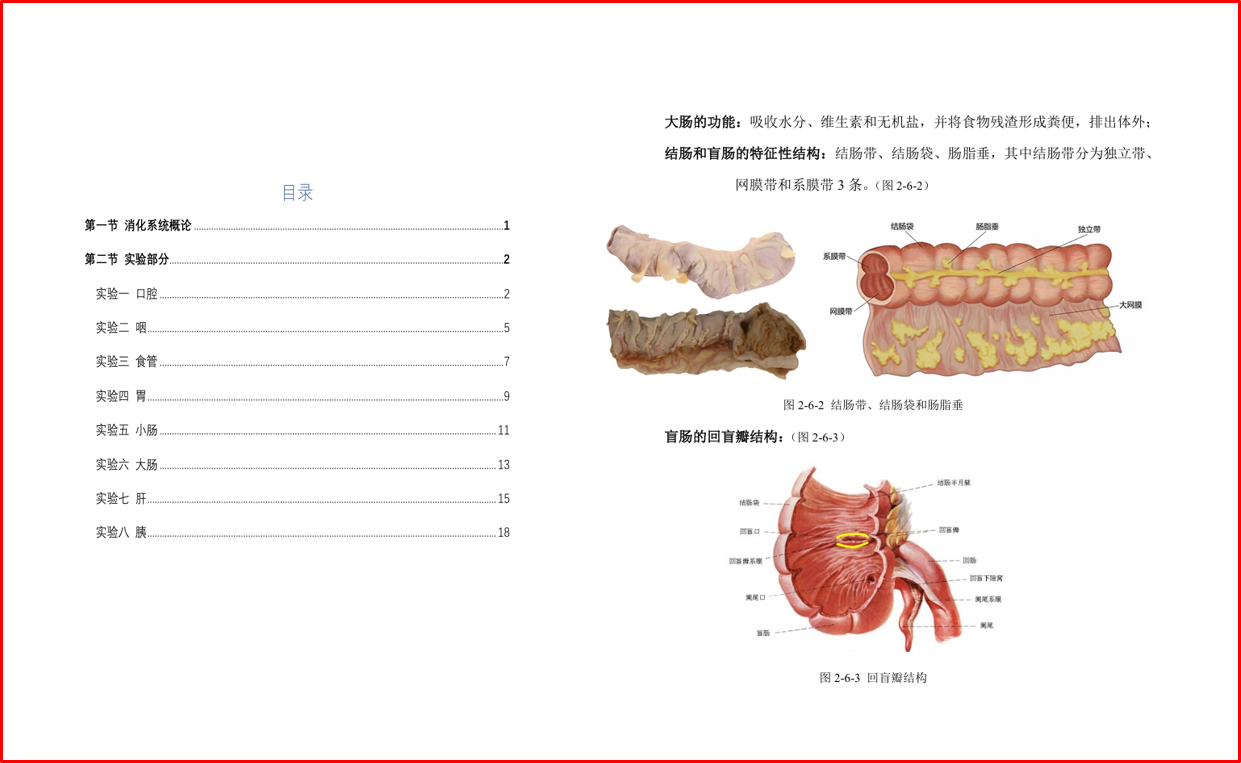 威尼斯人娱乐场